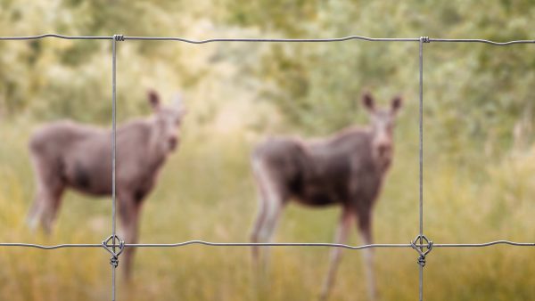 Djurstängsel tillbehör